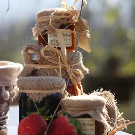 La Cascina Nel Bosco Bed and Breakfast